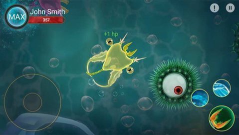 孢子进化微生物世界