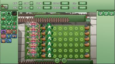 疯狂植物僵尸 疯狂植物僵尸