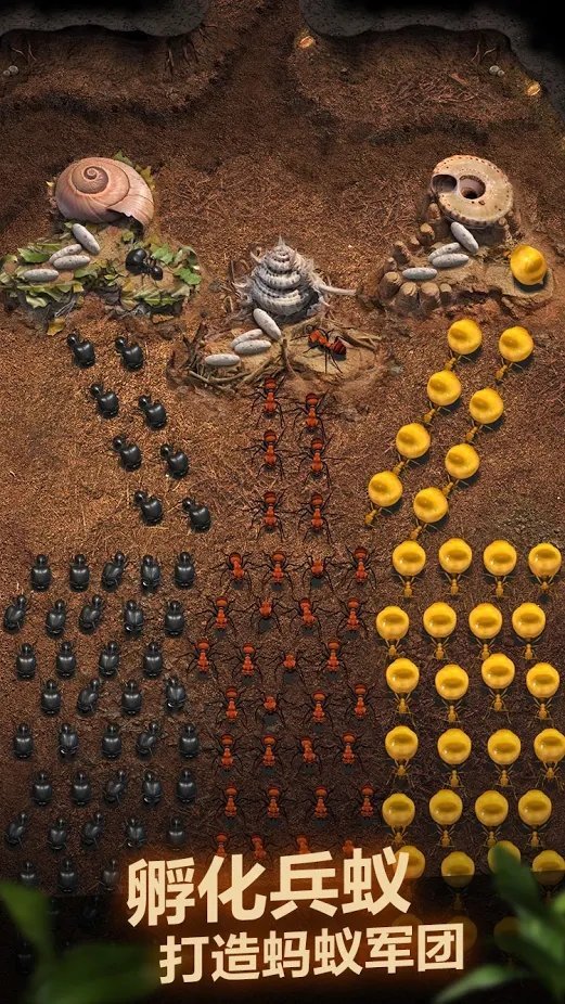 小小蚁国蚂蚁向前冲