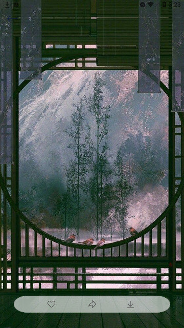 多态兔兔 多态兔兔