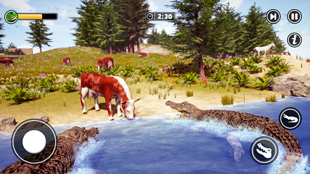 饥饿的鳄鱼野生动物袭击