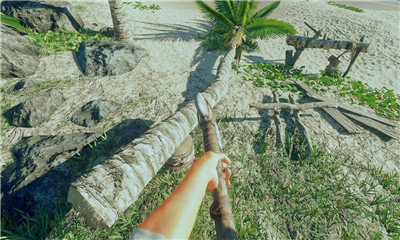 方舟之家岛屿生存中文版