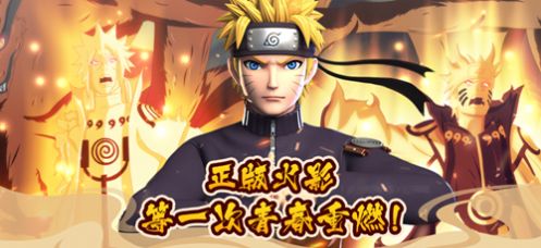 影之意志忍道羁绊