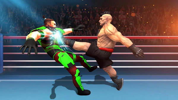 美国机器人格斗