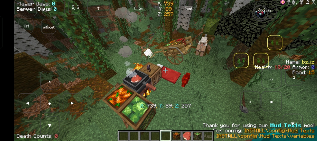 我的世界饥饿旅行家