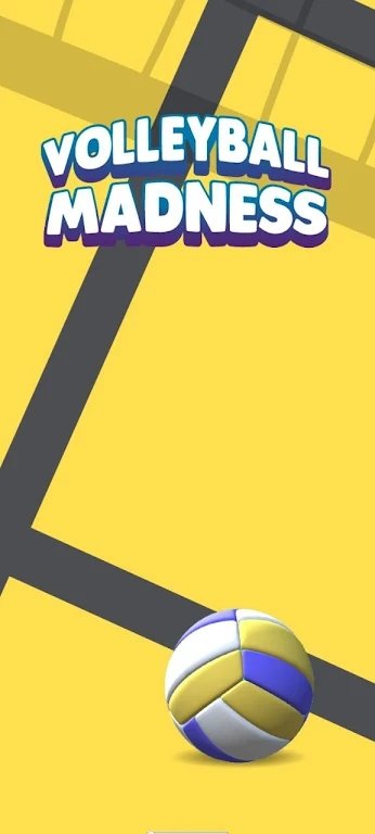 排球疯狂
