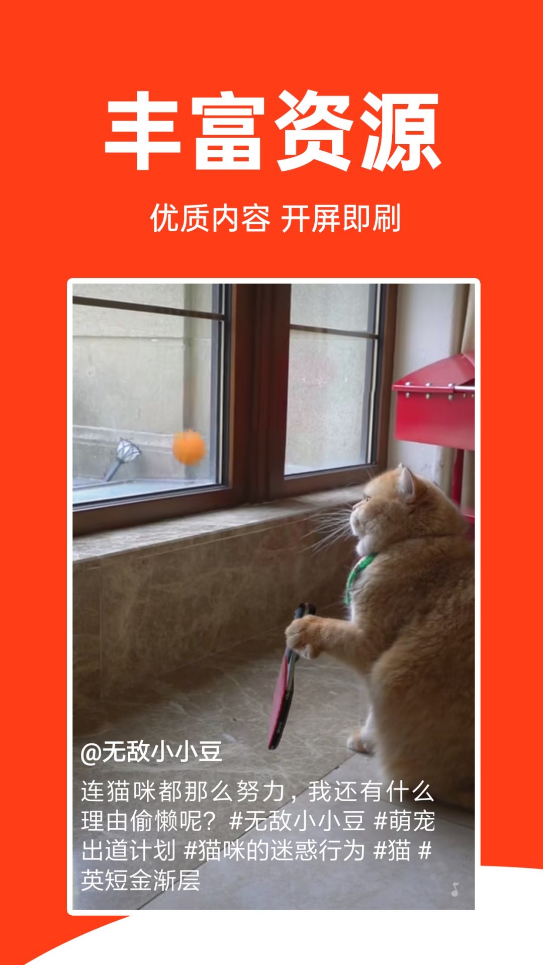 全民视频刷刷 全民视频刷刷