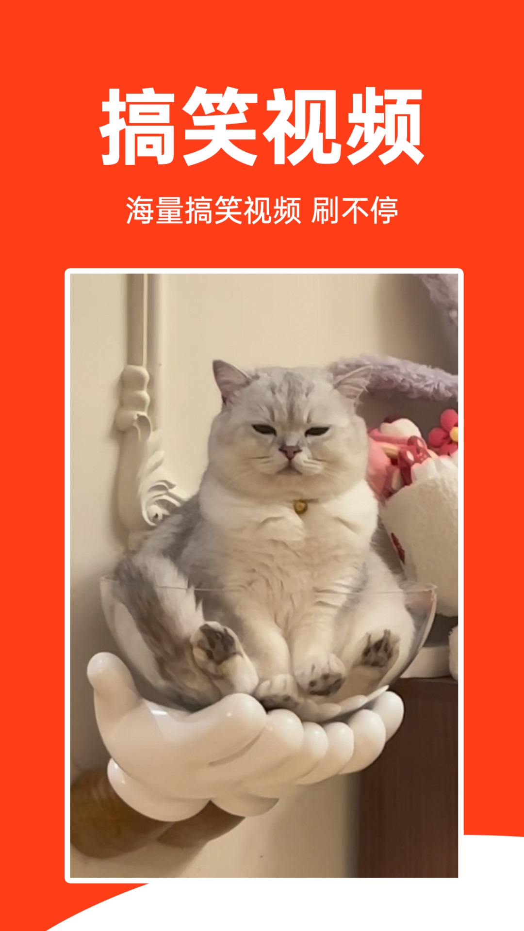 全民视频刷刷 全民视频刷刷