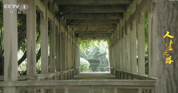 海星tv看剧免费版