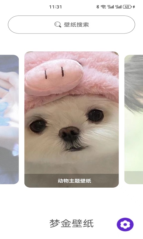 梦金壁纸 梦金壁纸